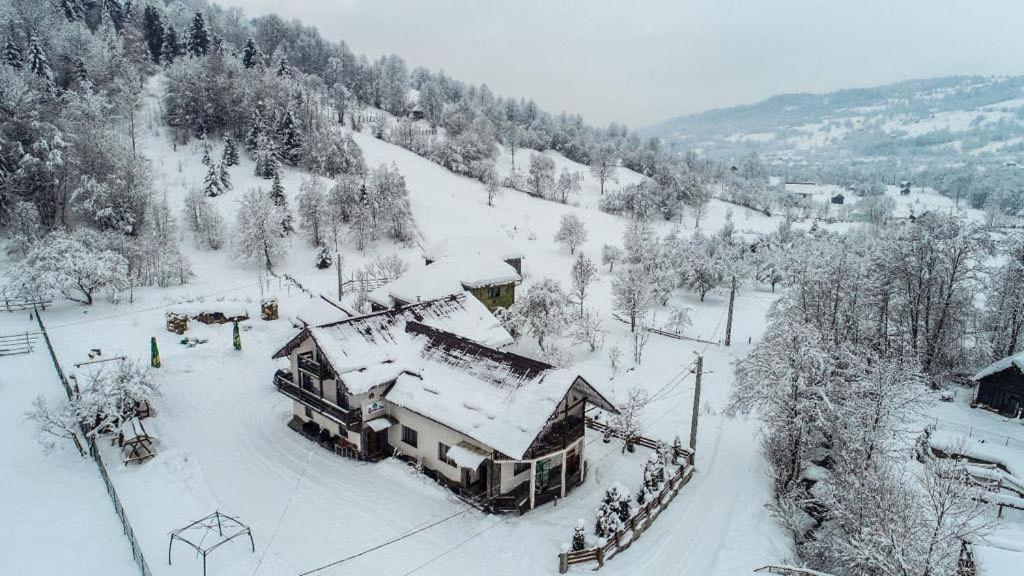 Lacrima Izei Villa Săcel Eksteriør billede